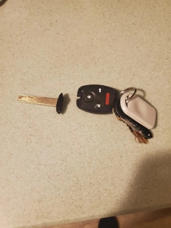 46 Individuals Whose Day Took a Turn for the Worse