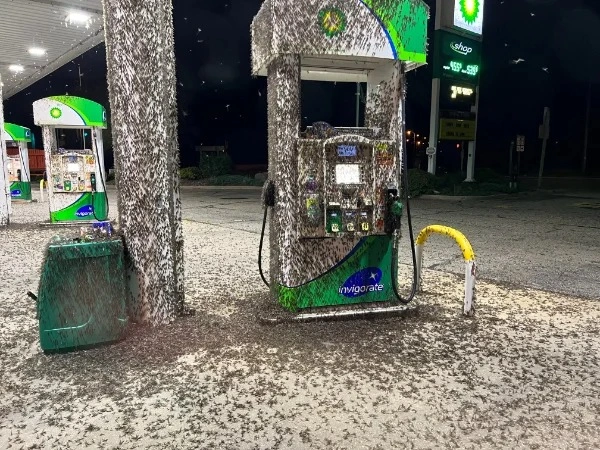 46 Individuals Whose Day Took a Turn for the Worse