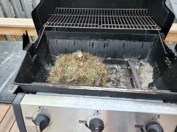 46 Individuals Whose Day Took a Turn for the Worse