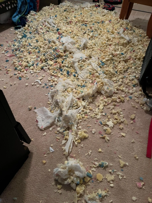 36 Individuals Experiencing a Day of Misfortune Far Greater Than Our Own