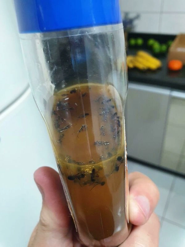 36 Individuals Experiencing a Day of Misfortune Far Greater Than Our Own