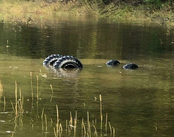 36 Individuals Experiencing a Day of Misfortune Far Greater Than Our Own