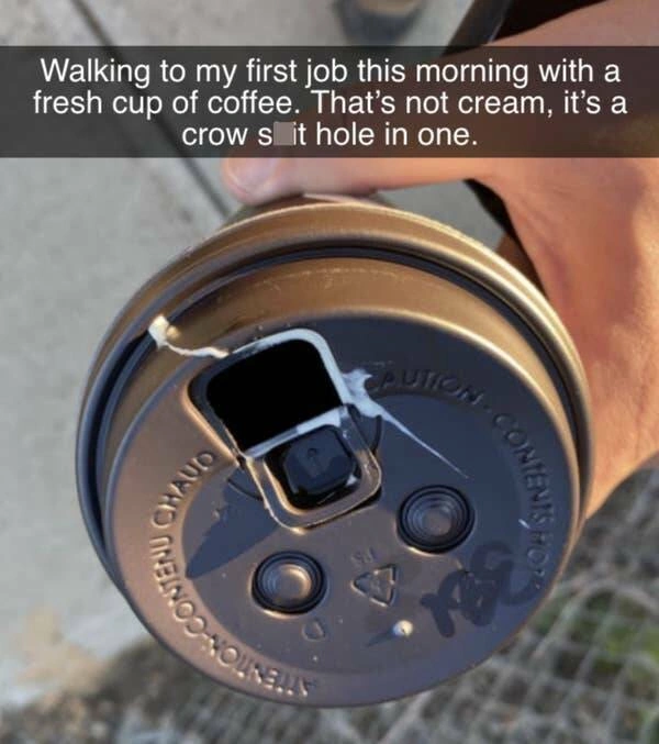 Whoops Wednesday: 21 Unfortunate Souls Who Were Hit by Bad Luck