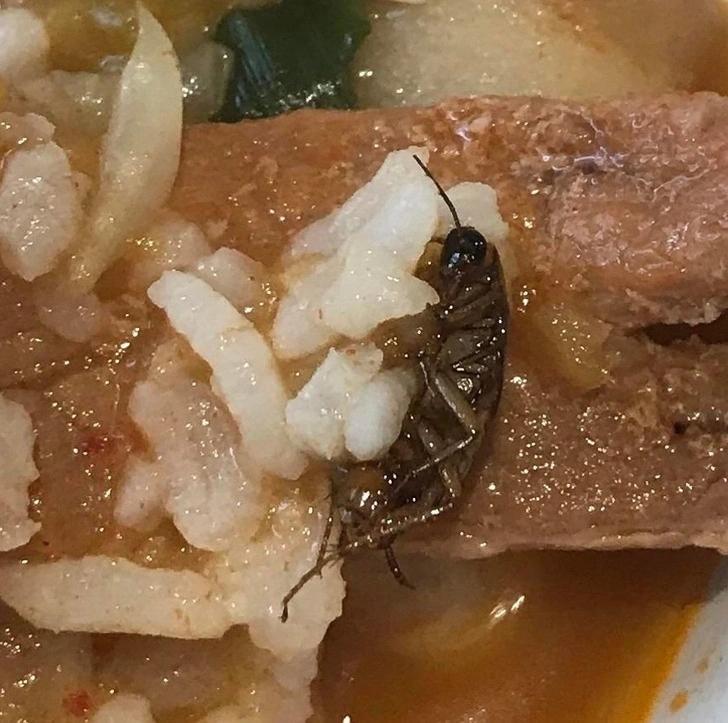 Whoops Wednesday: 21 Unfortunate Souls Who Were Hit by Bad Luck