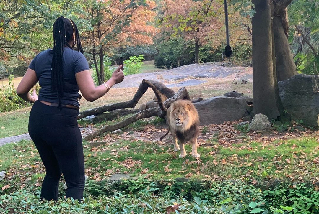 18 Individuals Who Perfectly Exemplify the Concept of 'Mess with the Bull, Get the Horns'