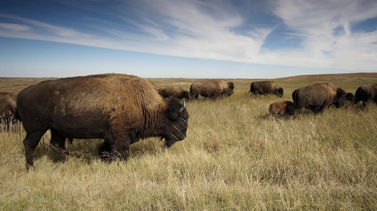 18 Individuals Who Perfectly Exemplify the Concept of 'Mess with the Bull, Get the Horns'