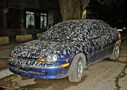 14 Individuals Unfairly Targeted Without Cause