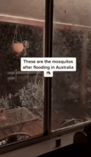 1. Unexpected Moments in Life2. Life's Surprising Twists3. When Life Throws a Curveball4. Unforeseen Events in Life5. Life's Unexpected Surprises6. Caught Off Guard by Life7. Life's Unexpected Turns8. Surprising Moments in Life9. Life's Unexpected Challen