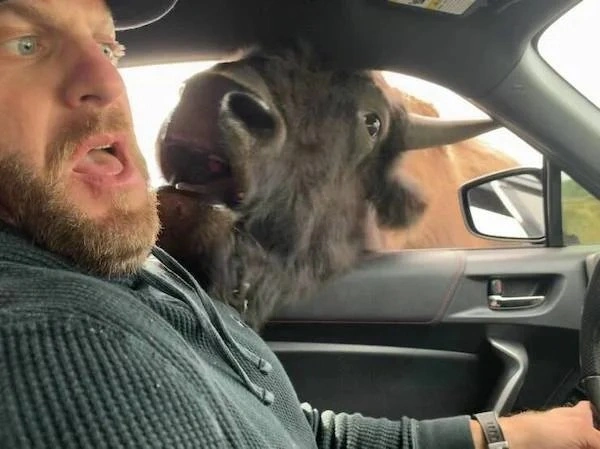 1. Unexpected Moments in Life2. Life's Surprising Twists3. When Life Throws a Curveball4. Unforeseen Events in Life5. Life's Unexpected Surprises6. Caught Off Guard by Life7. Life's Unexpected Turns8. Surprising Moments in Life9. Life's Unexpected Challen