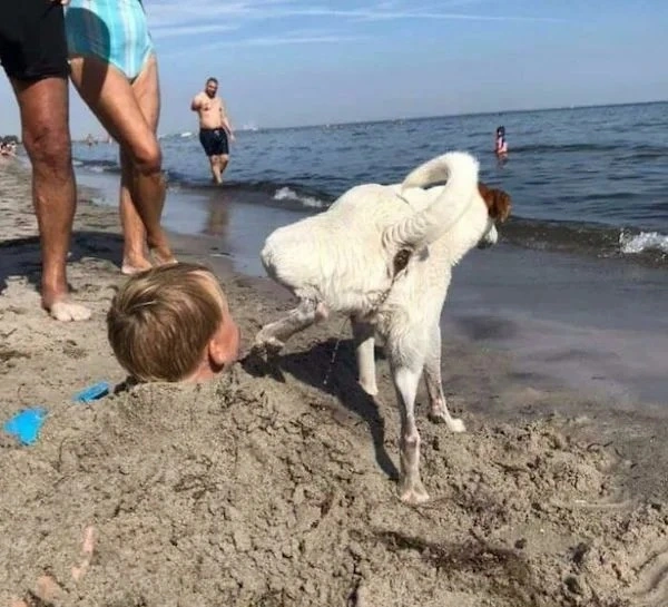 1. Unexpected Moments in Life2. Life's Surprising Twists3. When Life Throws a Curveball4. Unforeseen Events in Life5. Life's Unexpected Surprises6. Caught Off Guard by Life7. Life's Unexpected Turns8. Surprising Moments in Life9. Life's Unexpected Challen