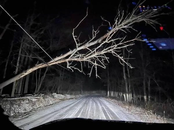 1. Unexpected Moments in Life2. Life's Surprising Twists3. When Life Throws a Curveball4. Unforeseen Events in Life5. Life's Unexpected Surprises6. Caught Off Guard by Life7. Life's Unexpected Turns8. Surprising Moments in Life9. Life's Unexpected Challen