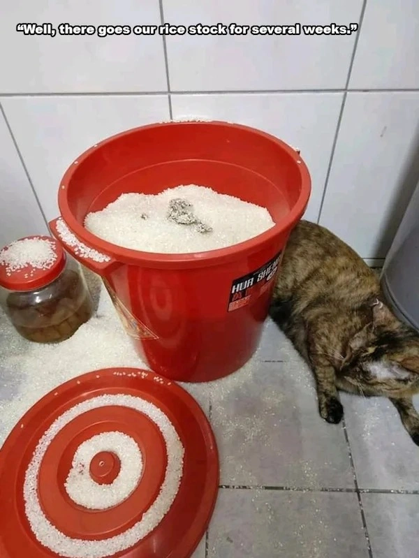 1. Unexpected Moments in Life2. Life's Surprising Twists3. When Life Throws a Curveball4. Unforeseen Events in Life5. Life's Unexpected Surprises6. Caught Off Guard by Life7. Life's Unexpected Turns8. Surprising Moments in Life9. Life's Unexpected Challen