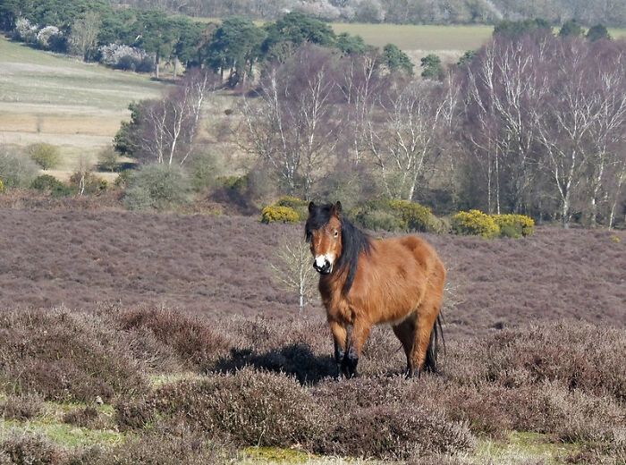 38 Heart-Wrenching Statements That Crushed People's Souls