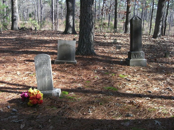 38 Heart-Wrenching Statements That Crushed People's Souls