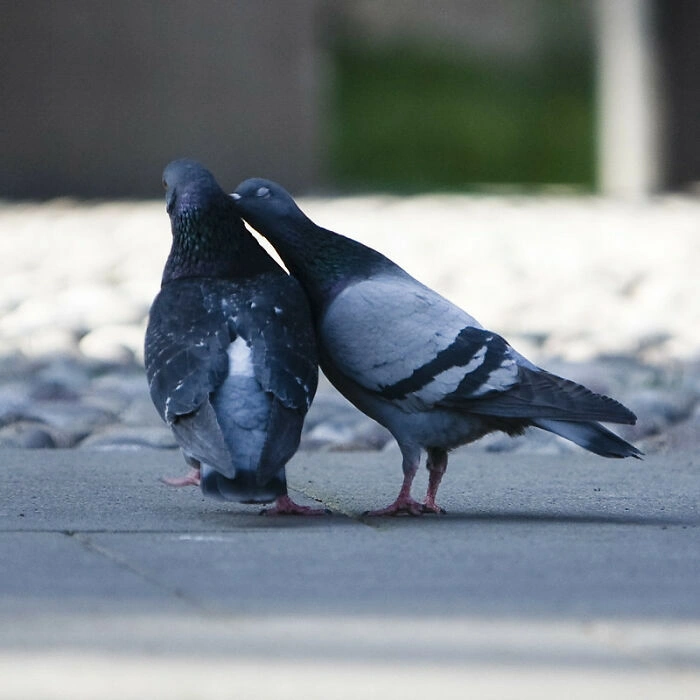 38 Heart-Wrenching Statements That Crushed People's Souls