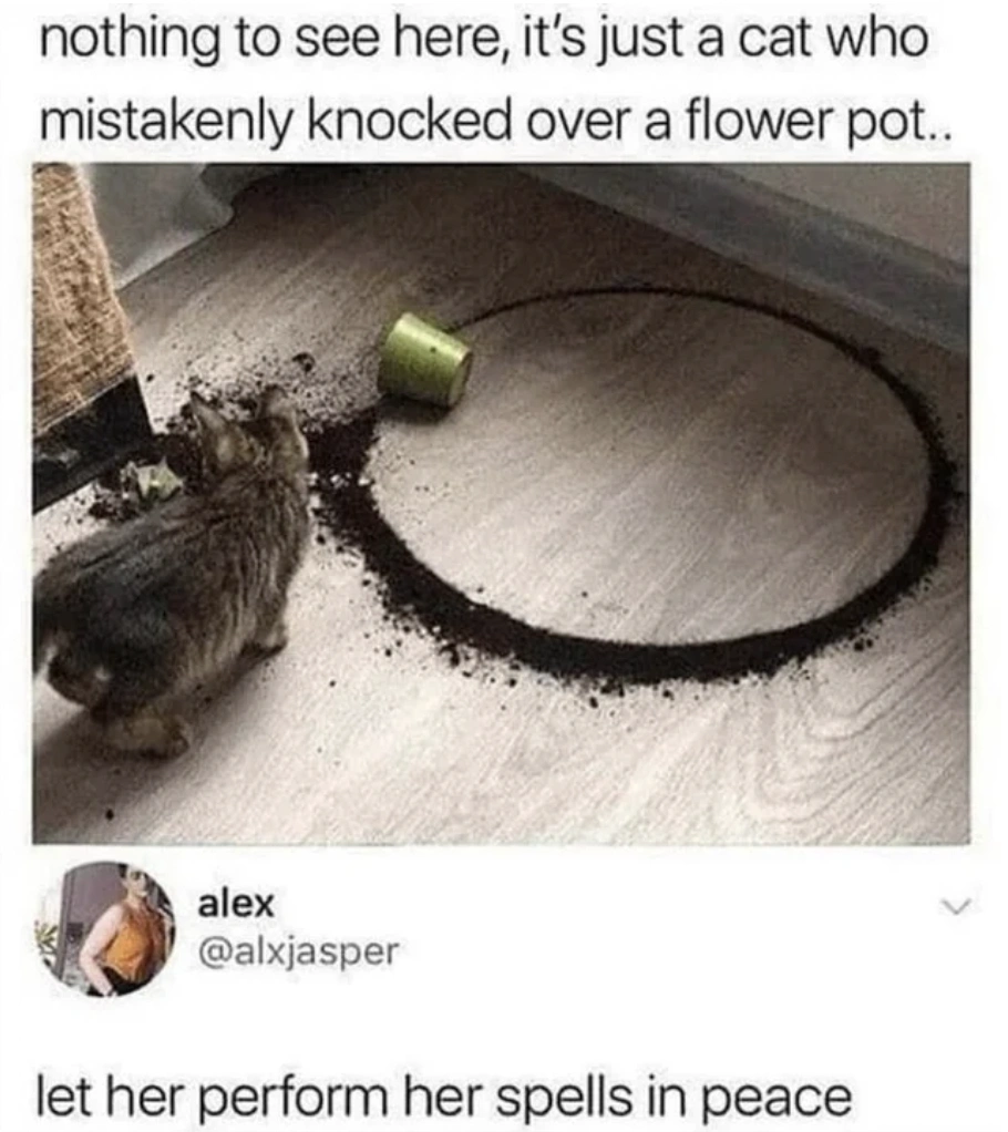 20 Commenters Who Nailed It with Hilarious Jokes