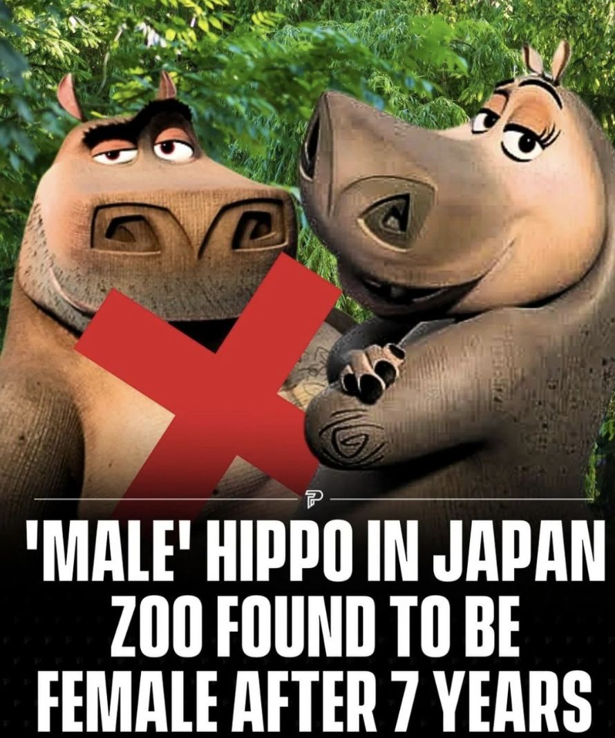 24 Epic Fails and Cringe-Worthy Moments That Expose the Dark Side of Humanity