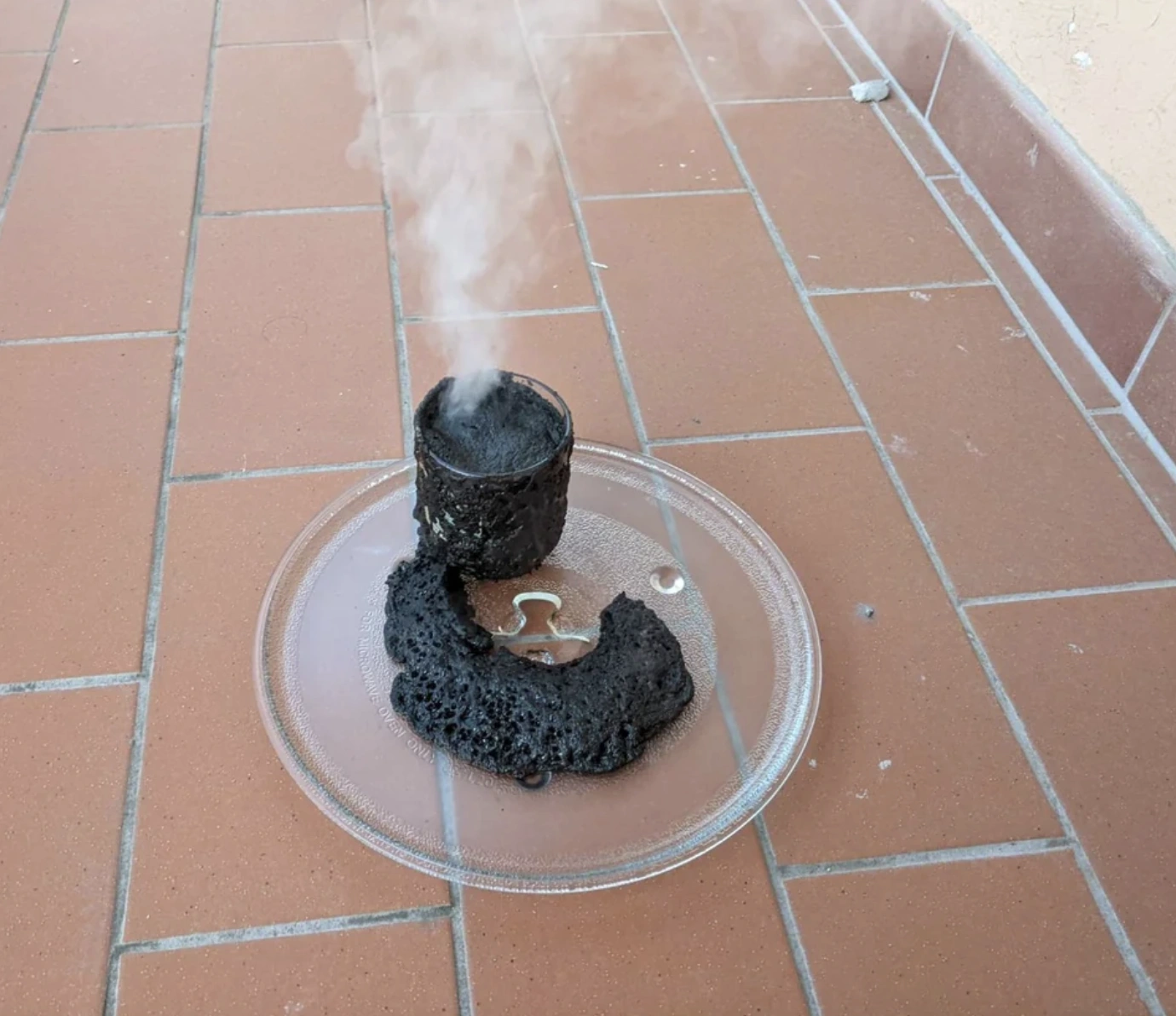 22 Explosive Images of Microwave Mishaps