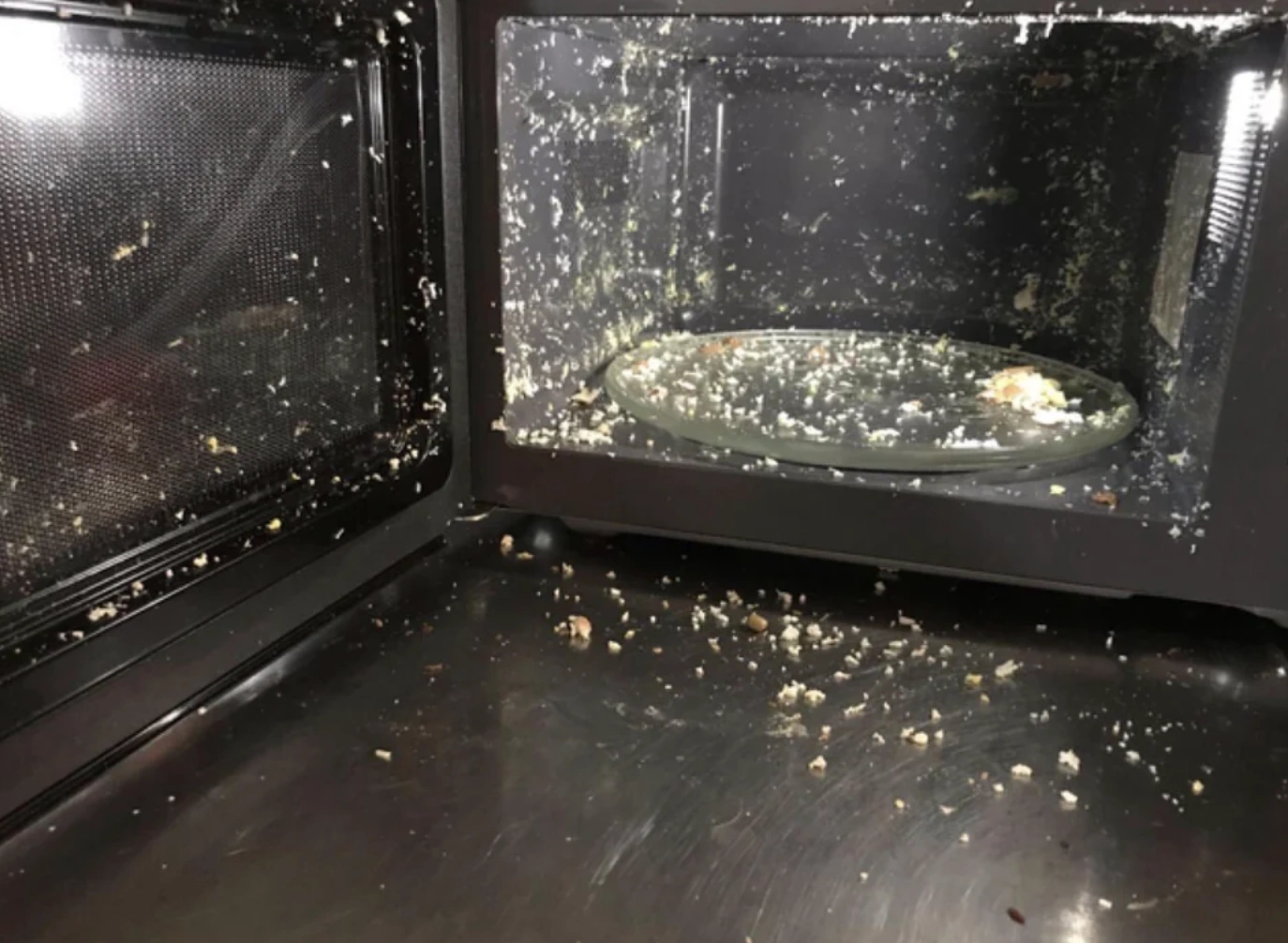 22 Explosive Images of Microwave Mishaps