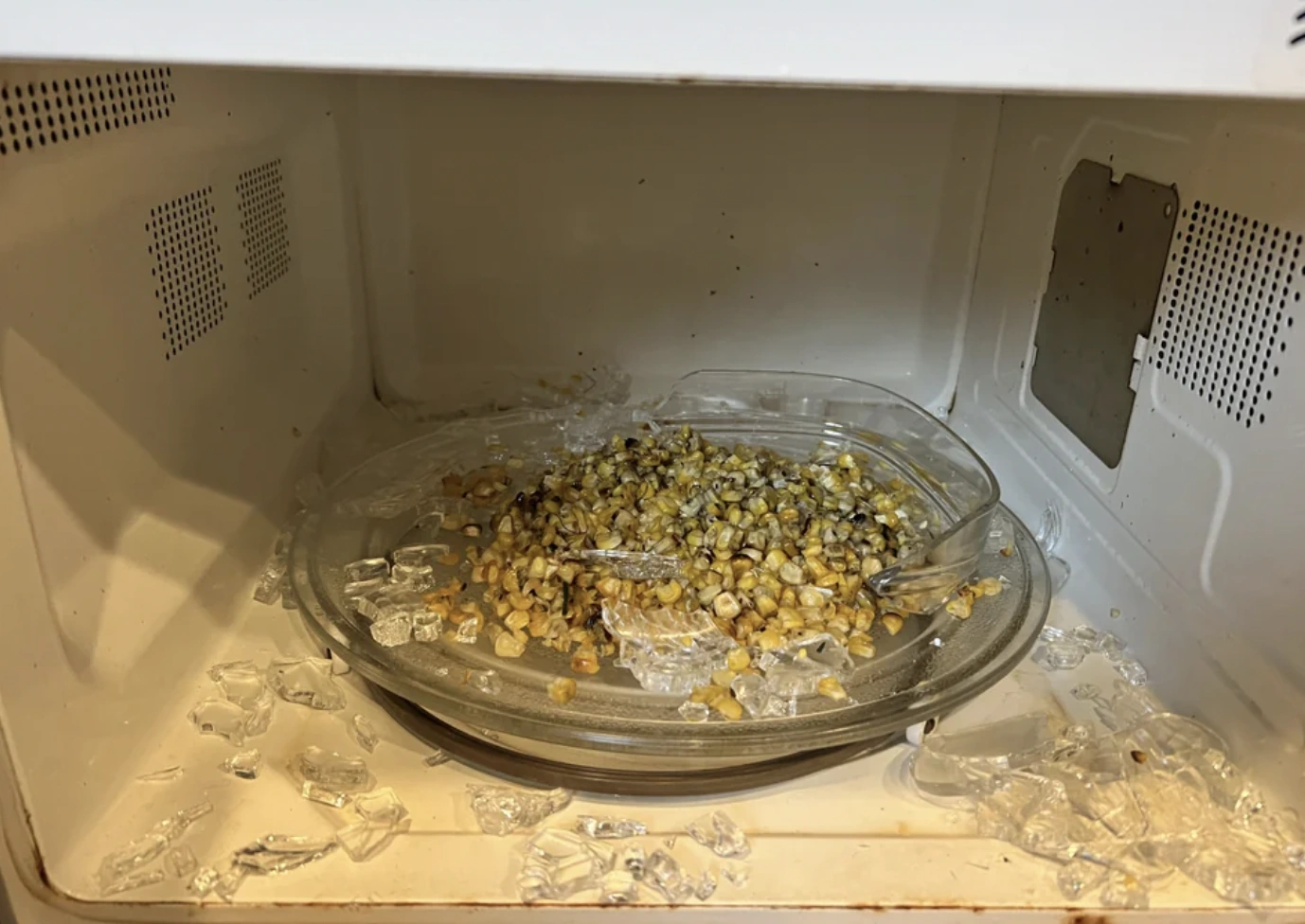 22 Explosive Images of Microwave Mishaps