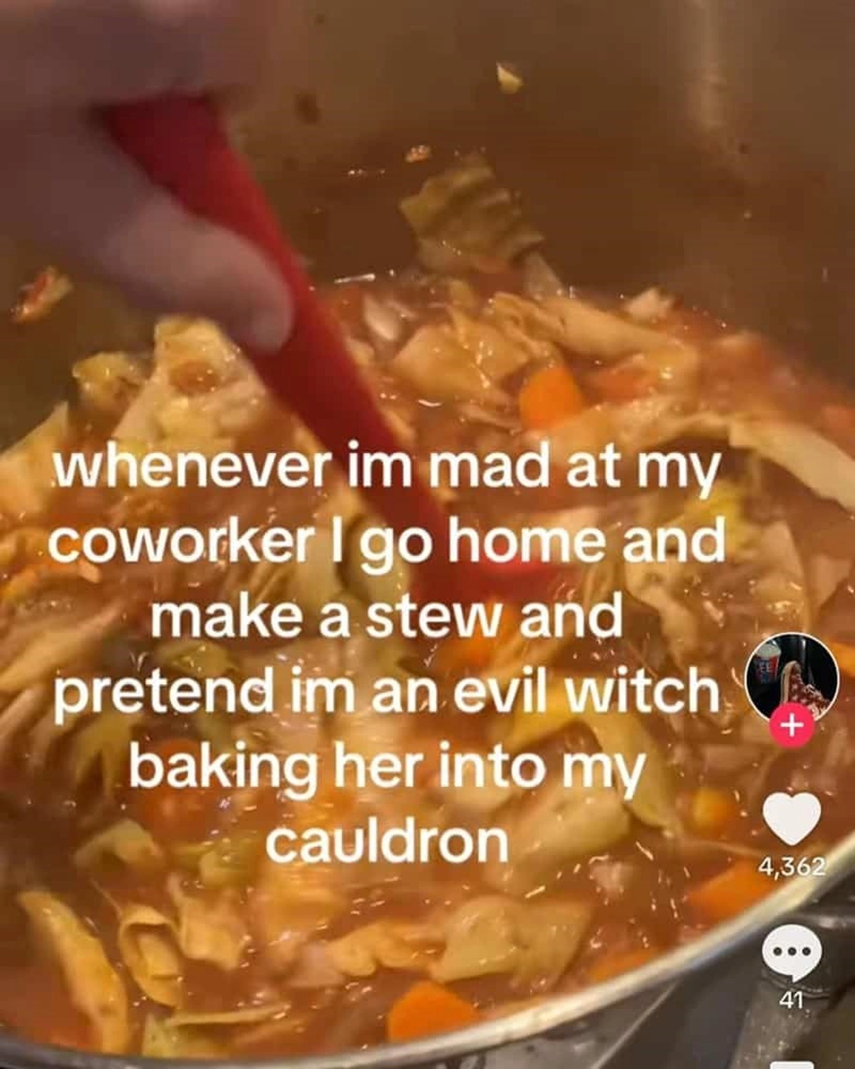 36 Side-Splitting Screenshots Exclusive to TikTok