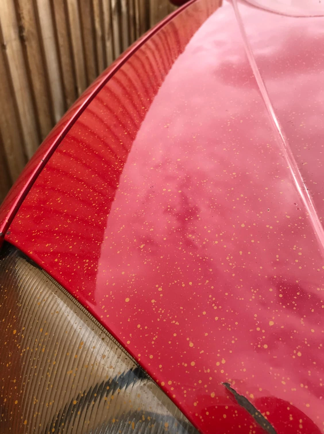 22 Painting Mishaps That Made a Lasting Impression