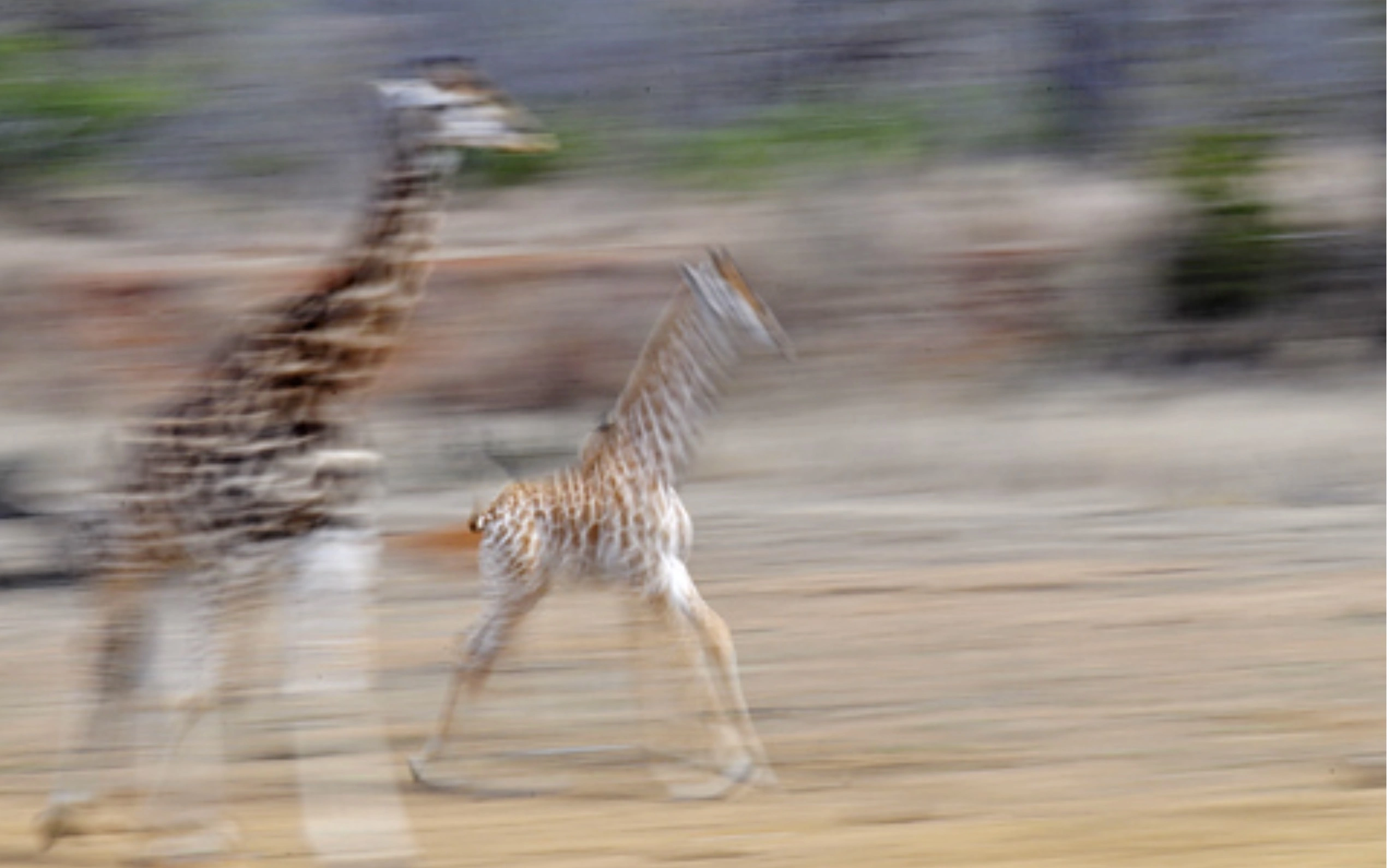 Laugh Out Loud: 32 Side-Splitting Posts from the Wildly Bad Wildlife Photography FB Group