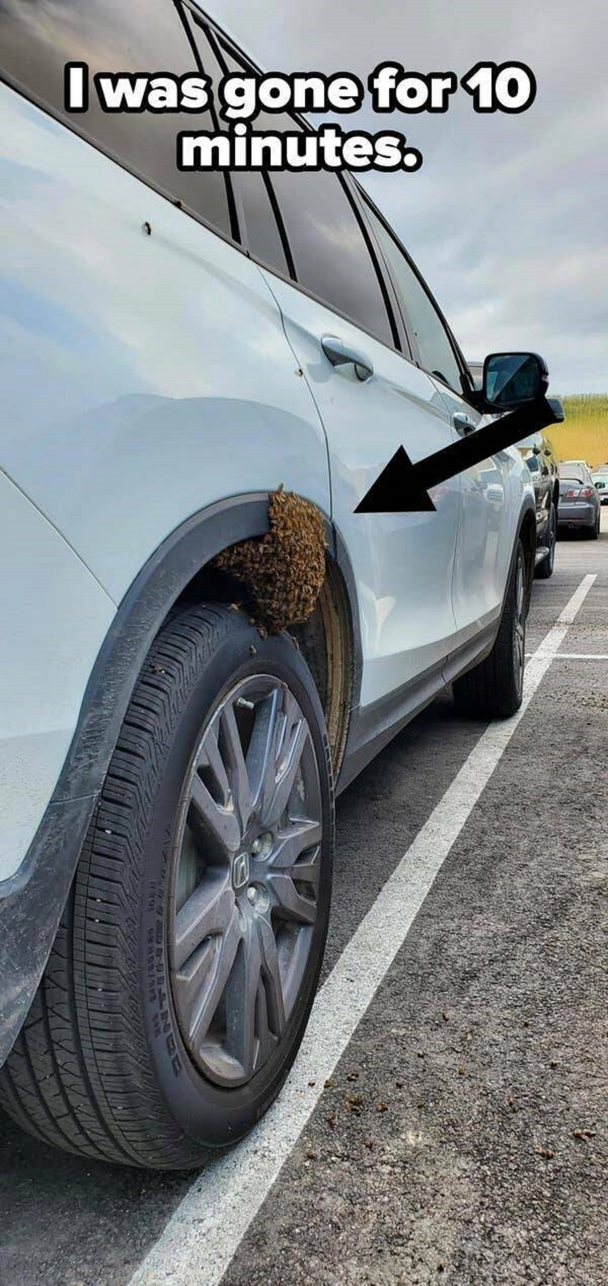 46 Unlucky Individuals Who Had a Streak of Bad Fortune