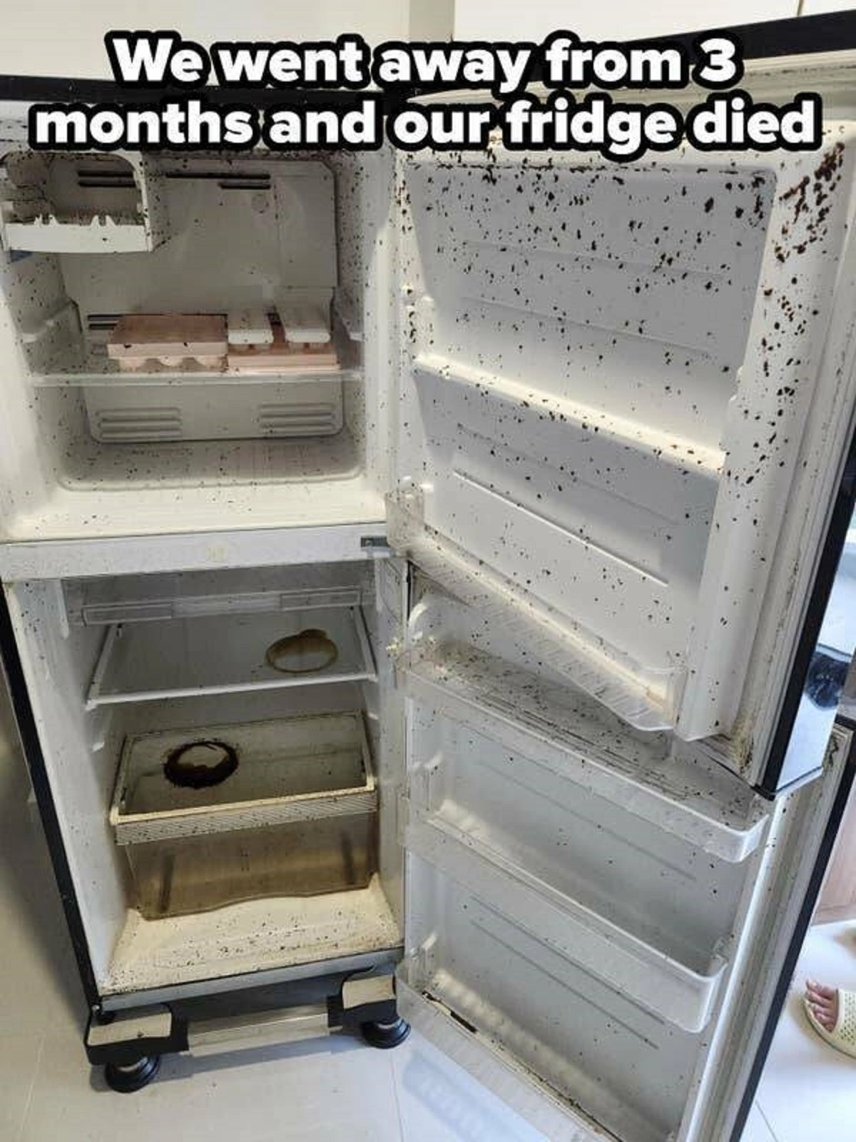 46 Unlucky Individuals Who Had a Streak of Bad Fortune