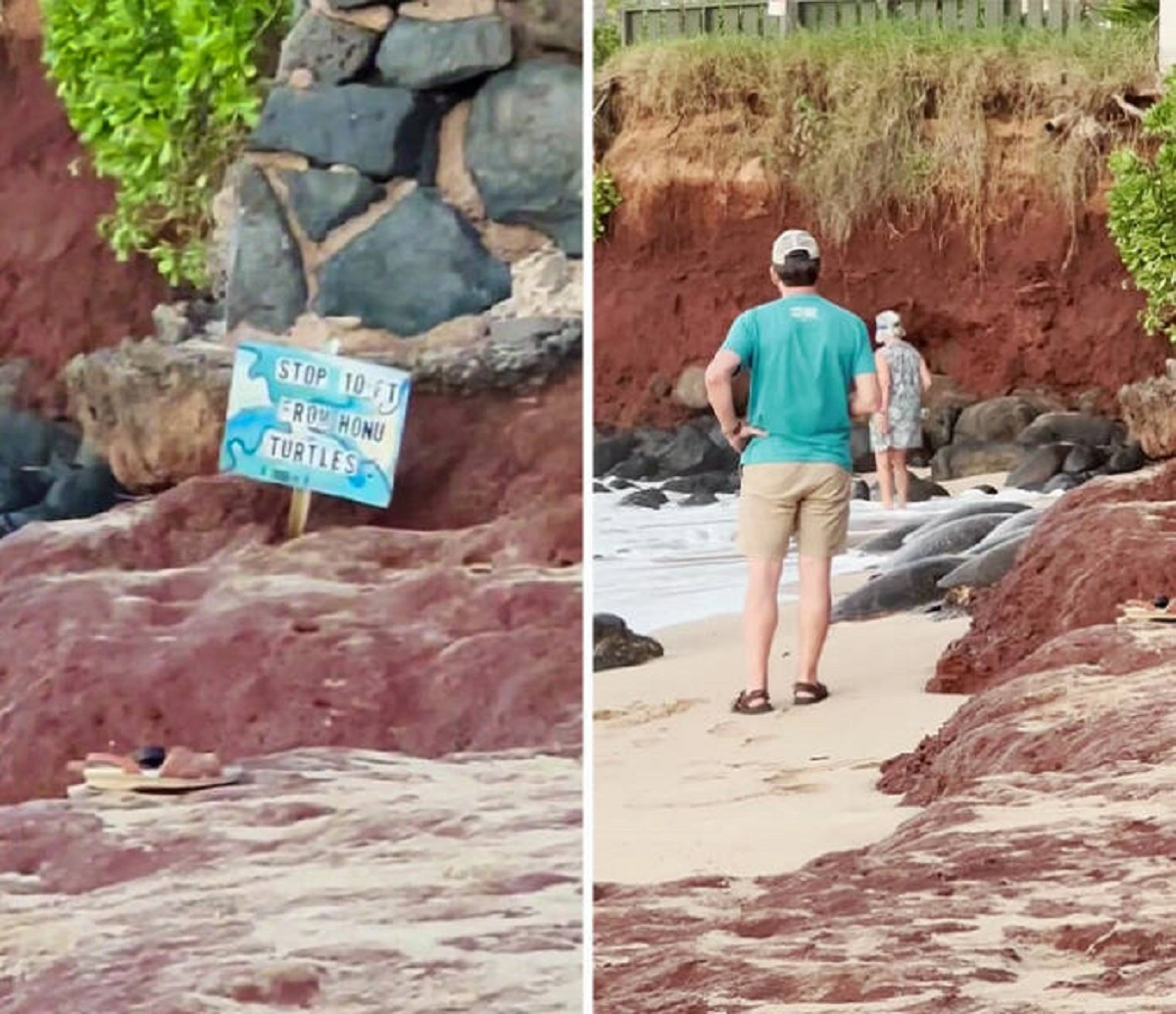 43 Tourists Who Showed a Lack of Respect