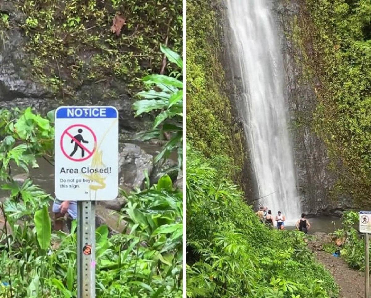 43 Tourists Who Showed a Lack of Respect