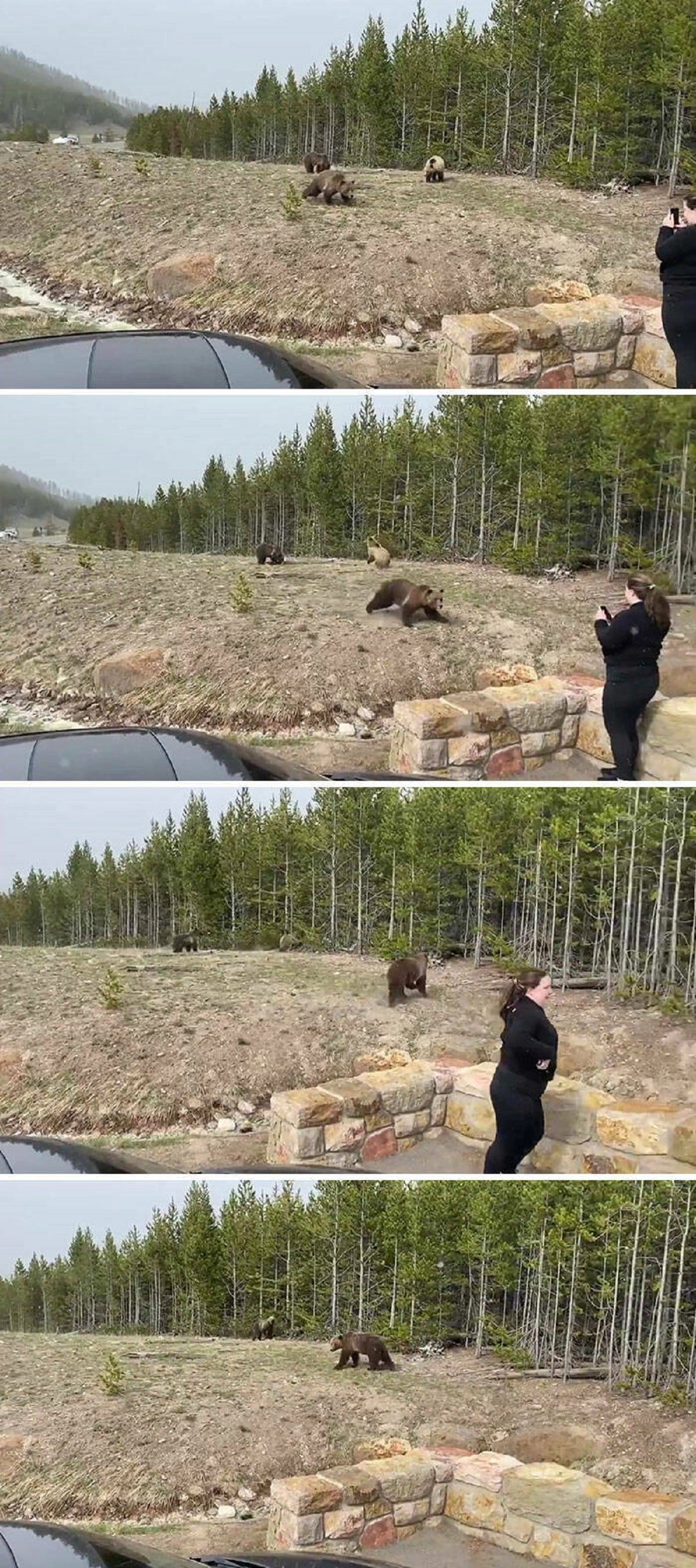 43 Tourists Who Showed a Lack of Respect