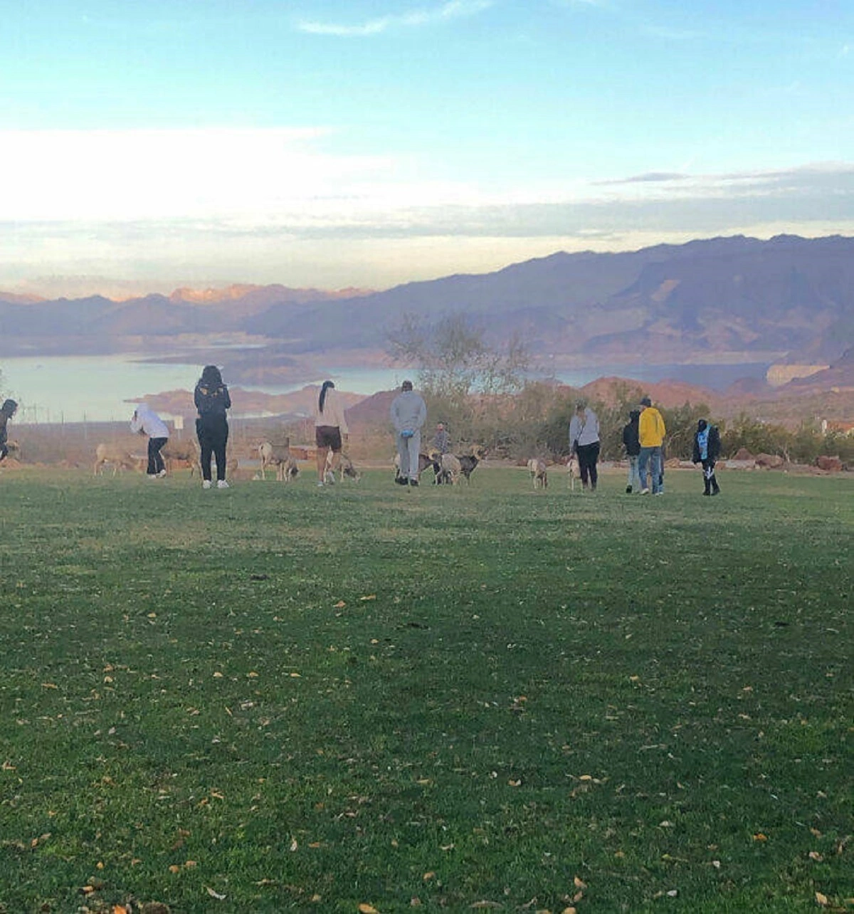 43 Tourists Who Showed a Lack of Respect