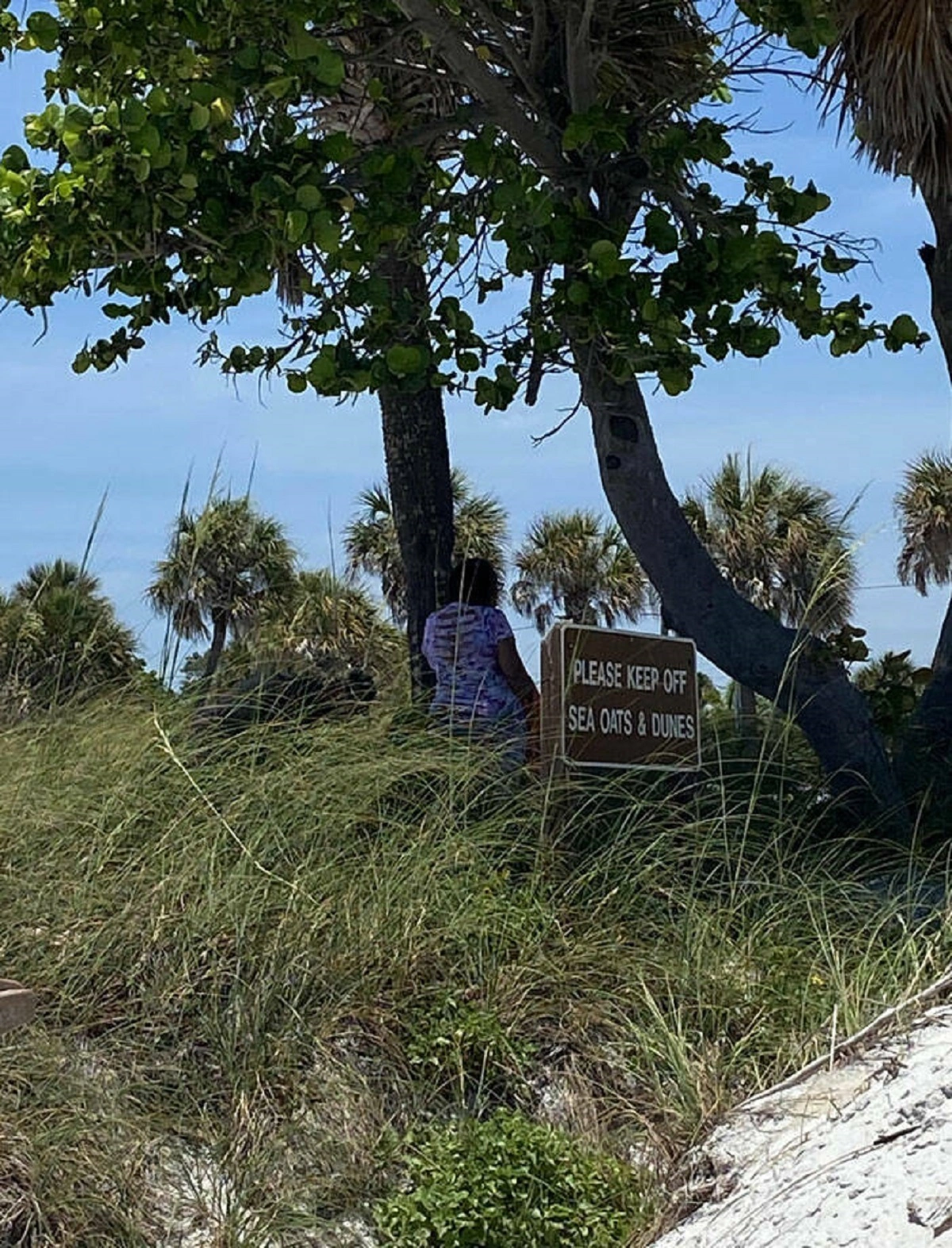 43 Tourists Who Showed a Lack of Respect