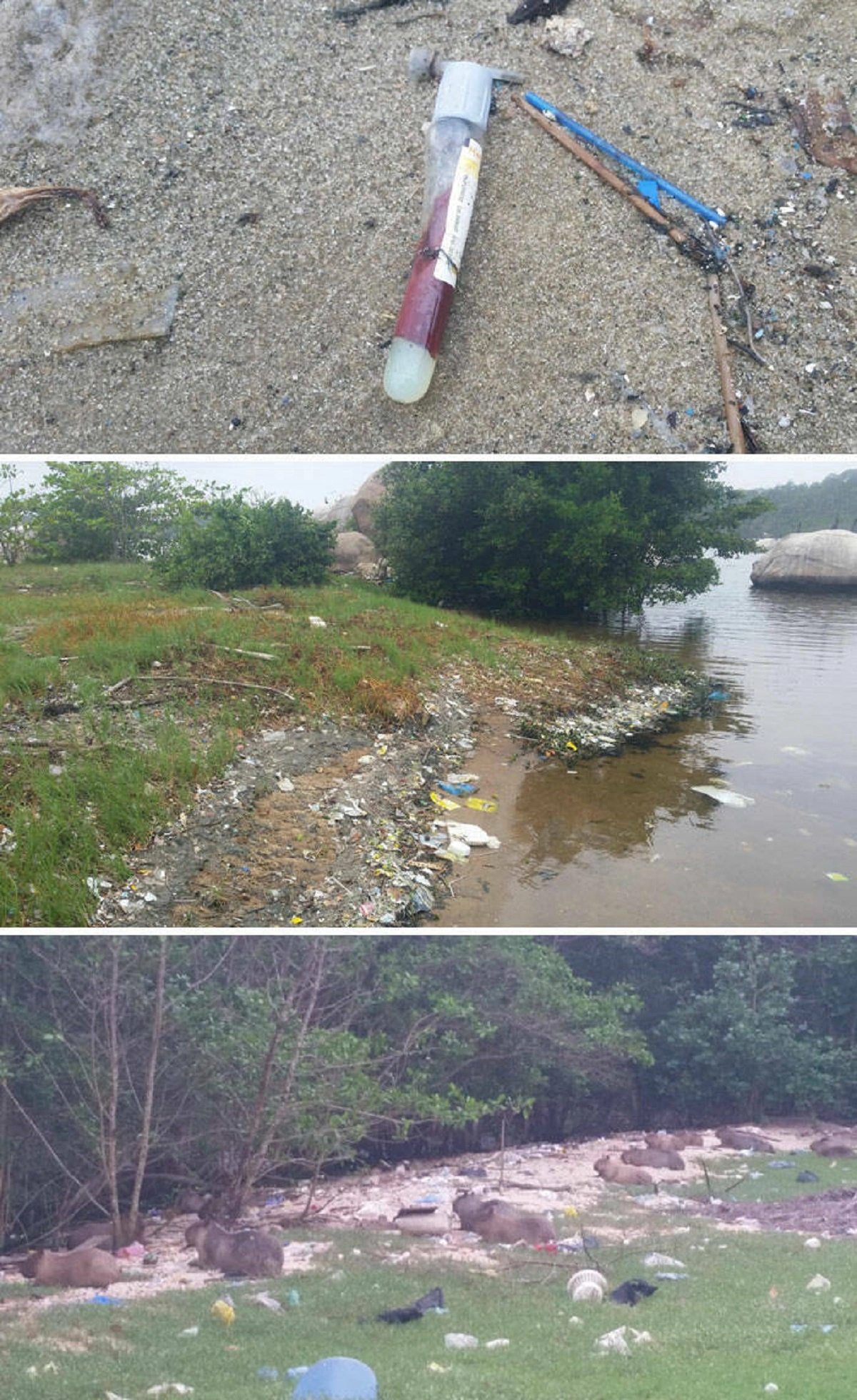 43 Tourists Who Showed a Lack of Respect