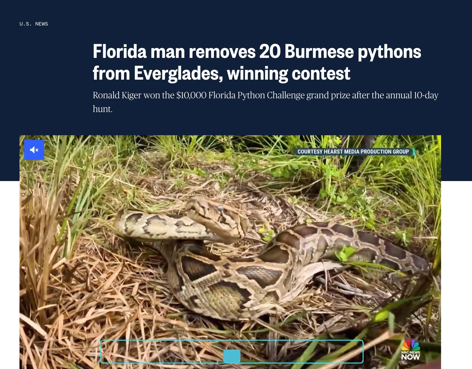 22 Outrageous Florida Man Stories Making Headlines This Month