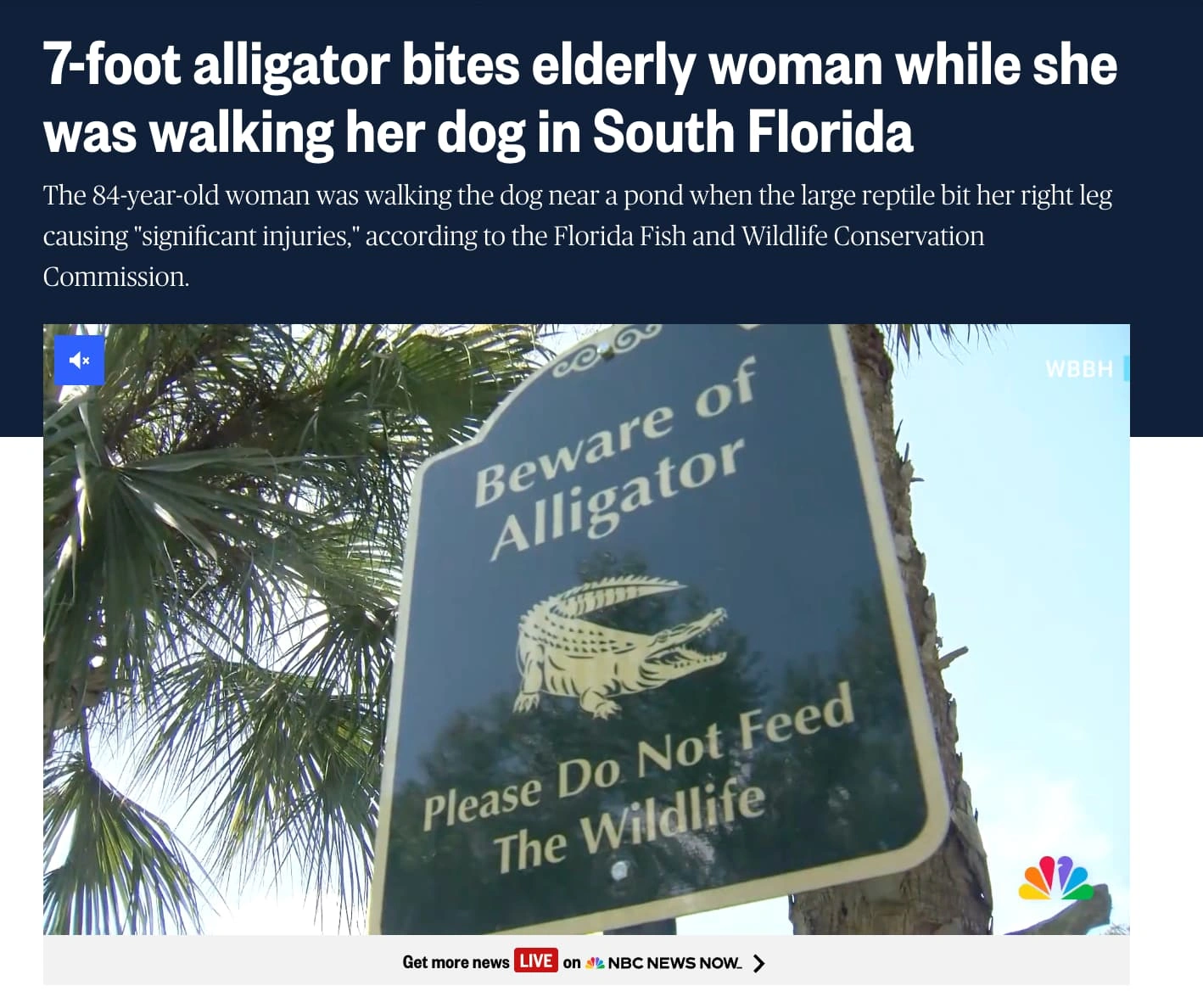 22 Outrageous Florida Man Stories Making Headlines This Month