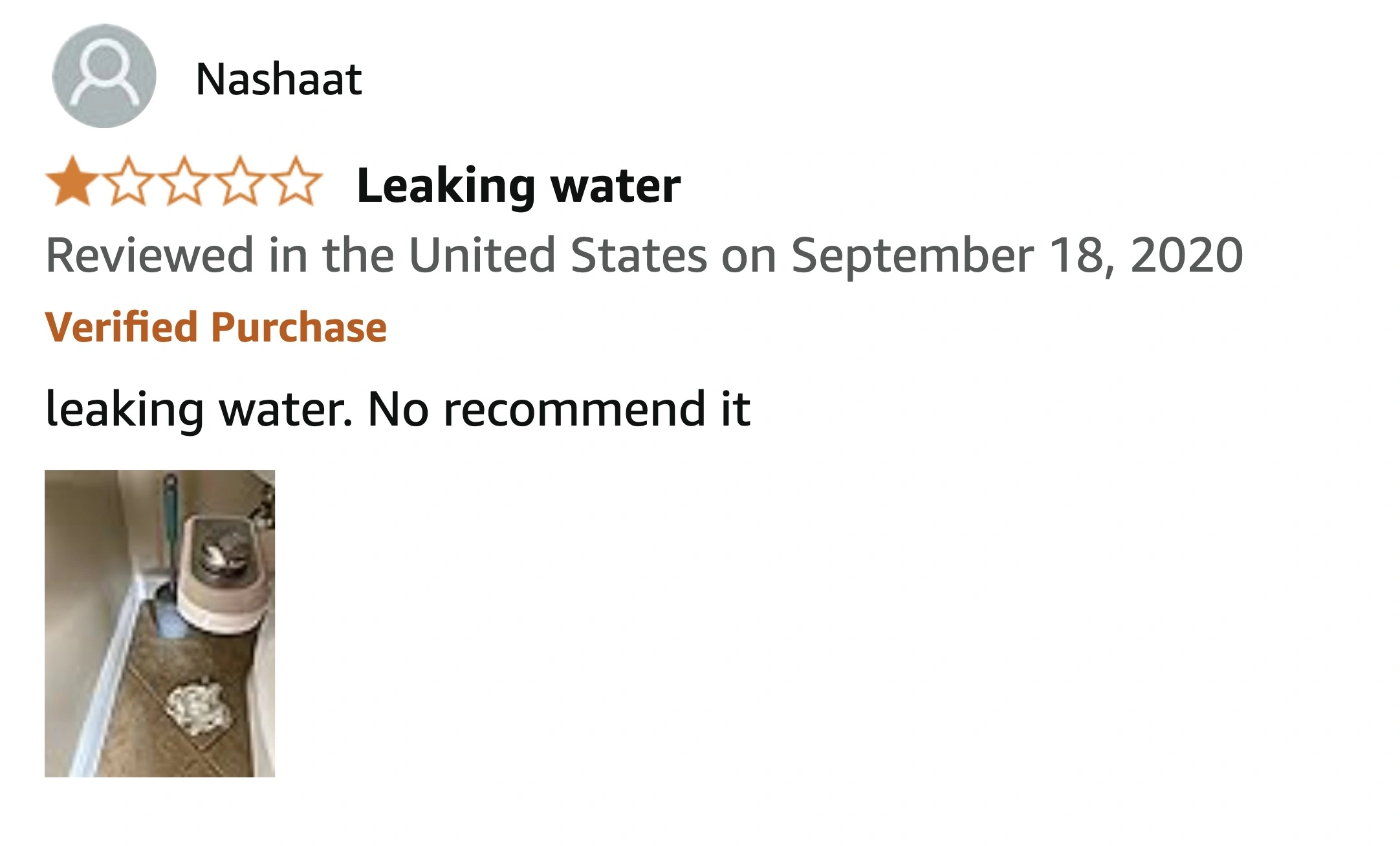 29 Top Reviews of the Worst Toilet Seats