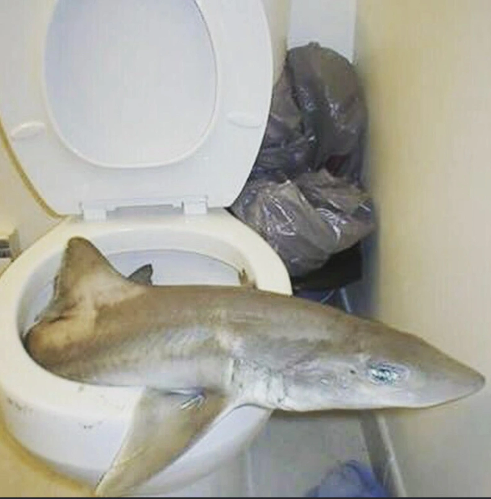 34 Random Curses That Will Haunt You Day and Night
