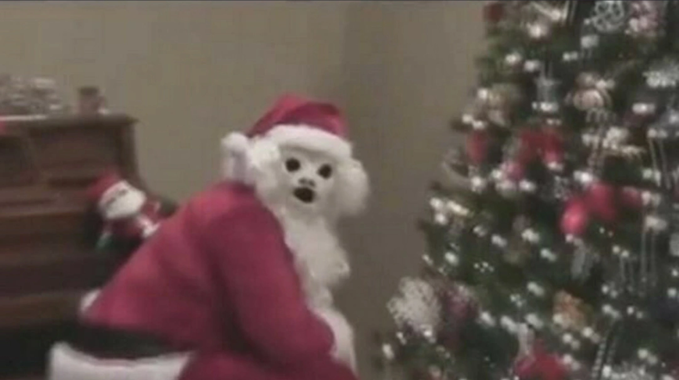 34 Random Curses That Will Haunt You Day and Night