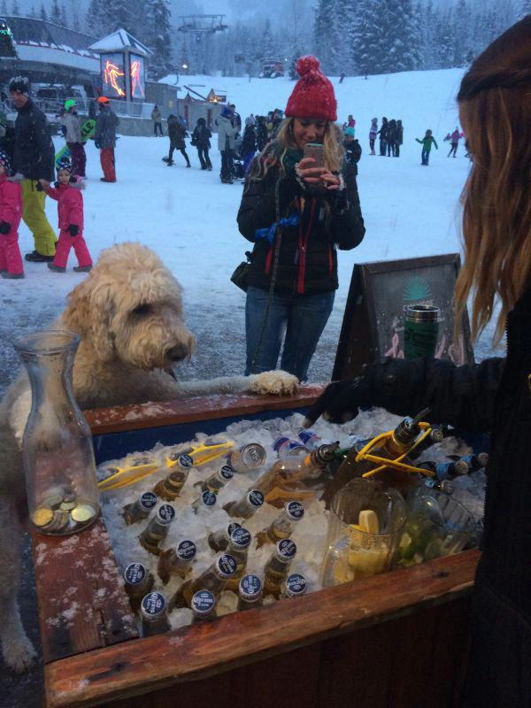 30 Photos That Will Haunt You in the Morning