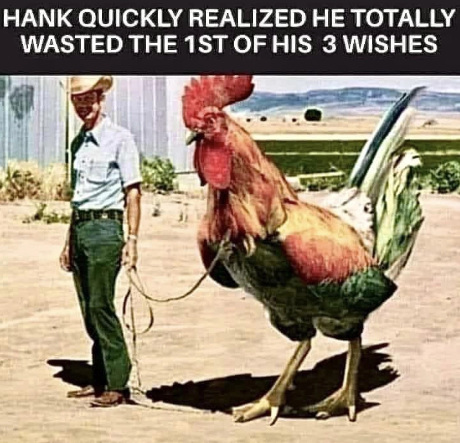 35 Wild Posts Gathered from Boomer Facebook Groups