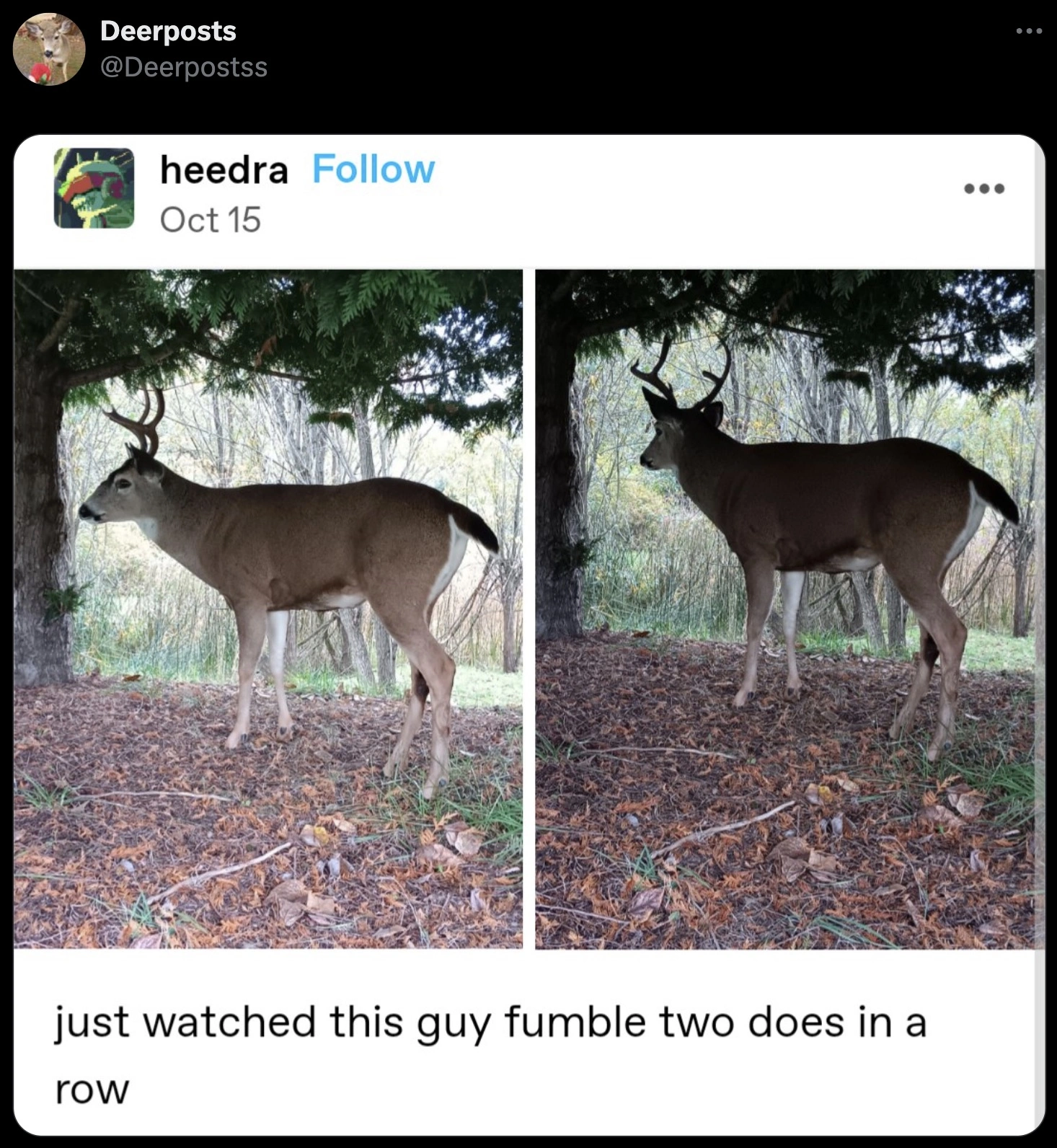 Laugh Out Loud: 32 Hilarious Tweets from the Past Day