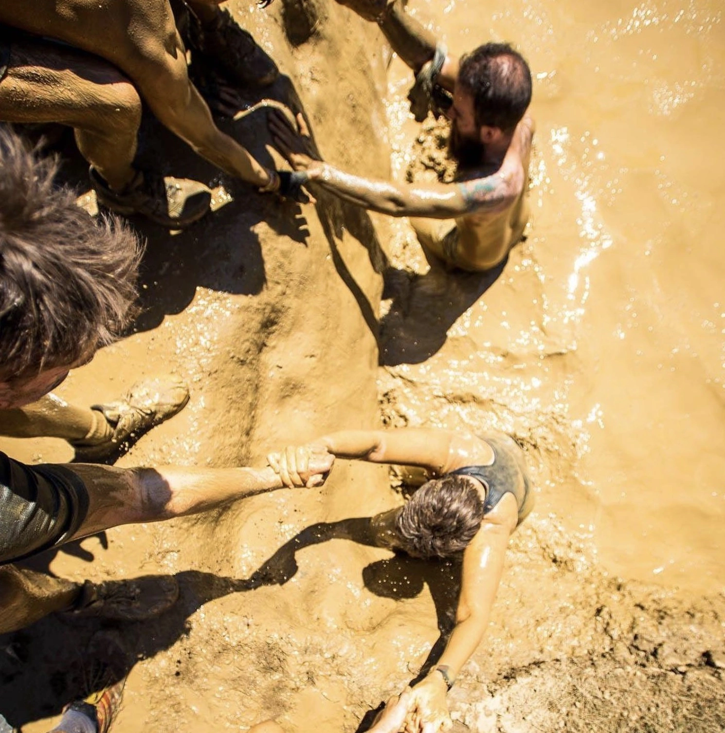 37 Individuals Who Successfully Evaded Capture After Emerging from the Sewers Beneath Taco Bell