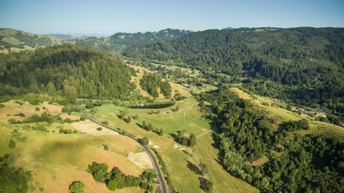 Neglected golf courses are gradually being taken over by the wilderness