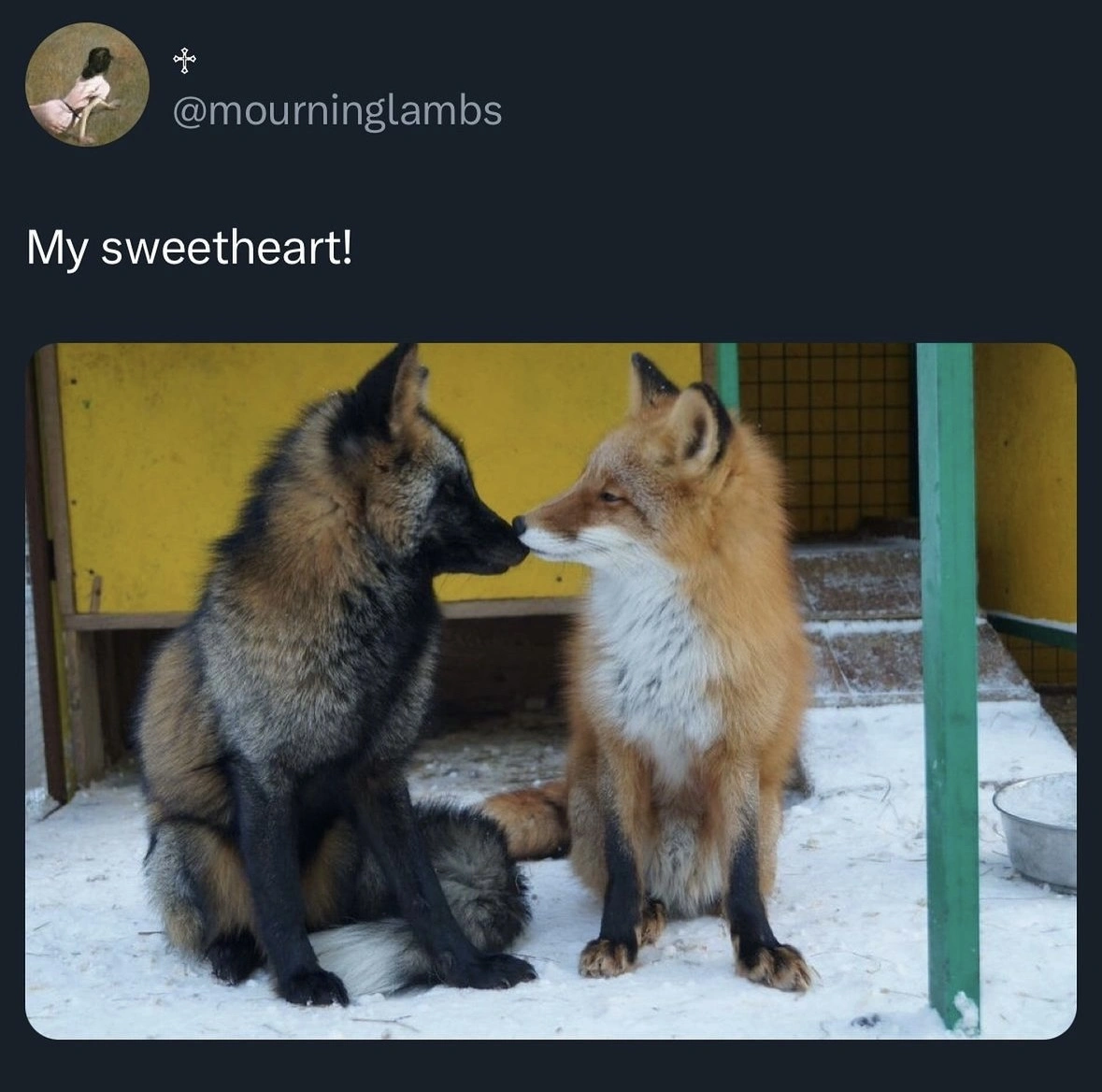 21 Tweets and Memes that Will Speak to the Hearts of Hopeless Romantics