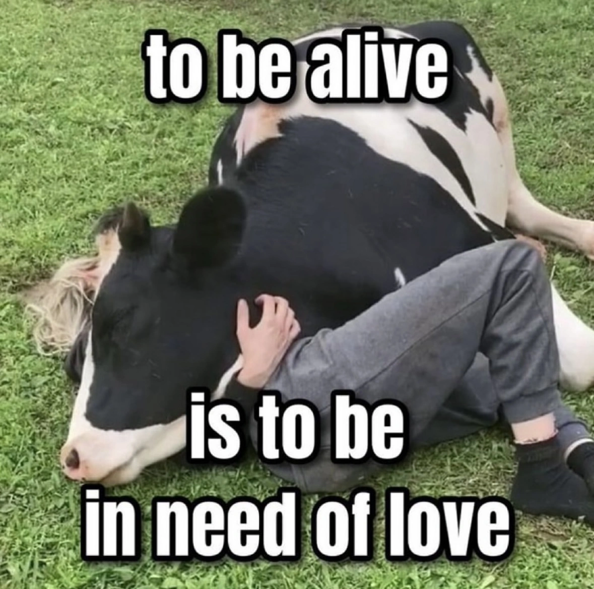 21 Tweets and Memes that Will Speak to the Hearts of Hopeless Romantics