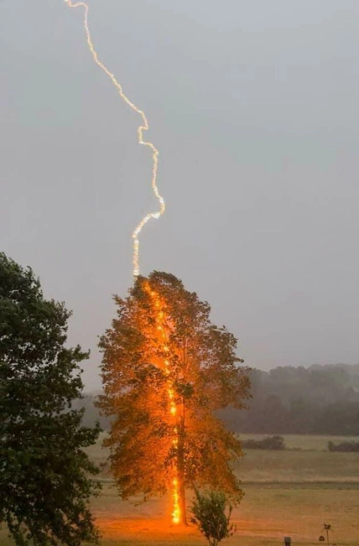 23 Unbelievable Photos of Rare Coincidences Caught on Camera