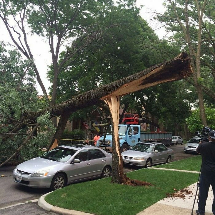 23 Unbelievable Photos of Rare Coincidences Caught on Camera