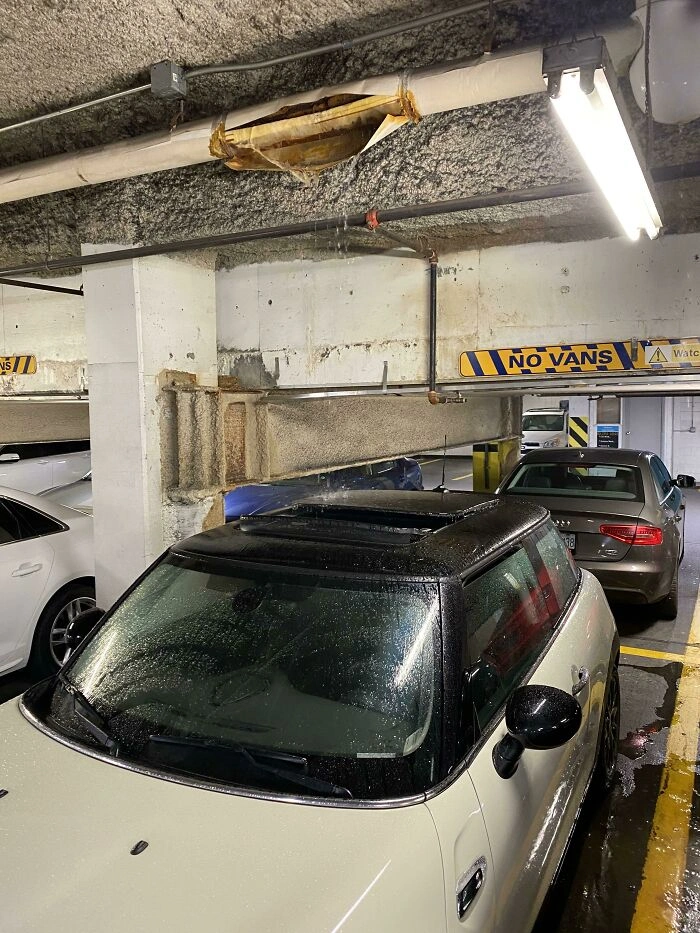 23 Unbelievable Photos of Rare Coincidences Caught on Camera